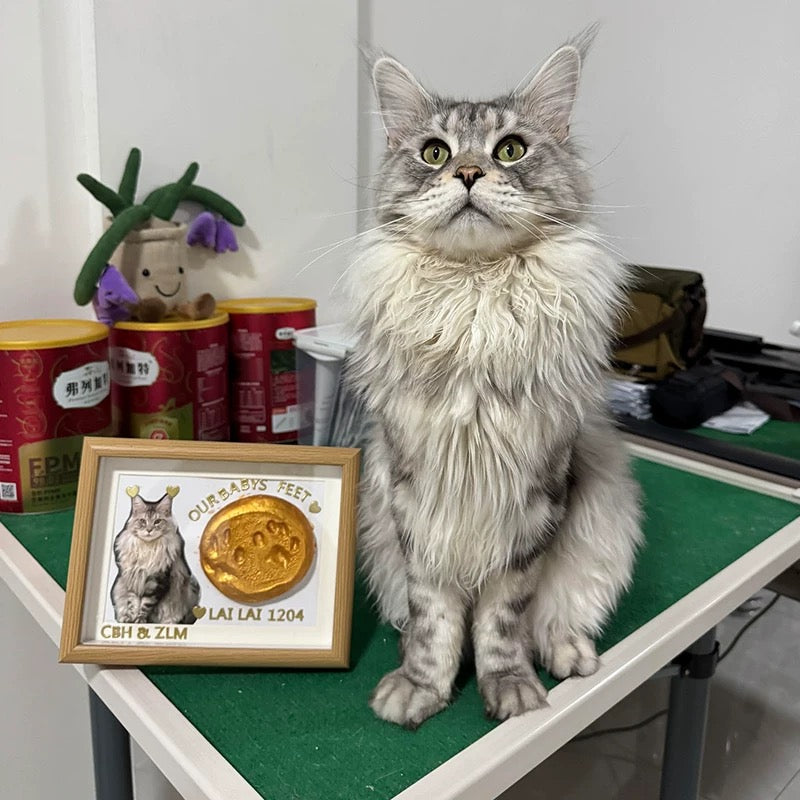 DIY Pet Paw Print Photo Frame Kit - Mess-Free Ink Pad Memorial Keepsake for Dogs & Cats