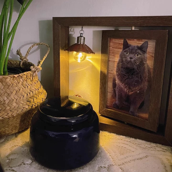 🐾 Custom Pet Fur & Photo Keepsake Frame with Collection Bottle – Hold Their Love in Your Hands 💖🥹