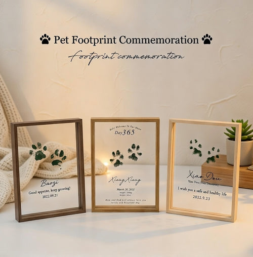 Custom Pet Paw Print Acrylic Memorial Frame - Personalized Dog & Cat Footprint Keepsake Gift